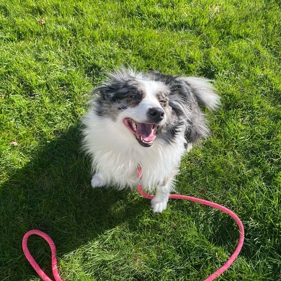 *DISCLAIMER* - Picture 2 of 2